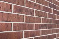  Дионис Гладкий Пустотелый одинарный 