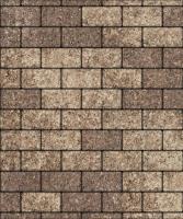 Тротуарная плитка Прямоугольник, Гранит, Хаски, высота 40 мм (100*200)