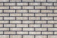  Берёза Рустик Пустотелый одинарный 