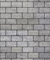 Тротуарная плитка Прямоугольник, Искусственный камень, Шунгит, высота 80 мм (100*200)