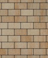 Тротуарная плитка Прямоугольник, Искусственный камень, Степняк, высота 60 мм (100*200)