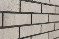  Орк Ракушечник Пустотелый одинарный 