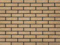  Луна Ракушечник Пустотелый одинарный 