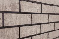  Протей Ракушечник Пустотелый одинарный 