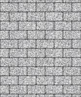 Тротуарная плитка Прямоугольник, Мрамор, Белый с черным, высота 40 мм (100*200)