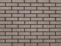  Нептун Ракушечник Пустотелый одинарный 