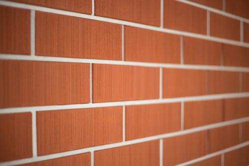  Красный Бархат Пустотелый полуторный ут.ст. по цене 0 руб./шт