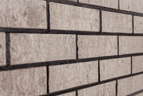  Протей Ракушечник Пустотелый одинарный по цене 79 руб./шт