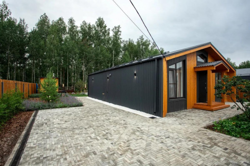 Тротуарная плитка Паркет, Искусственный камень, Шунгит, высота 60 мм (180*60)