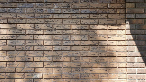 Кирпич кедр кора дуба+инкрустация пустотелый одинарныйпо цене 59.03 руб./шт