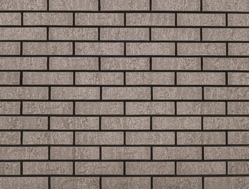  Нептун Ракушечник Пустотелый одинарный по цене 79 руб./шт