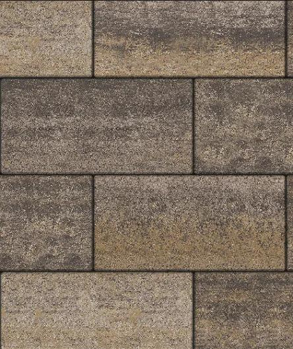 Тротуарная плитка Прямоугольник, Искусственный камень, Доломит, высота 80 мм (600*300)