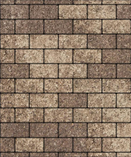 Тротуарная плитка Прямоугольник, Гранит, Хаски, высота 40 мм (100*200)