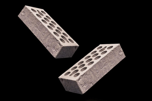  Протей Ракушечник Пустотелый одинарный по цене 79 руб./шт