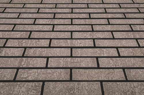  Нептун Ракушечник Пустотелый одинарный по цене 79 руб./шт