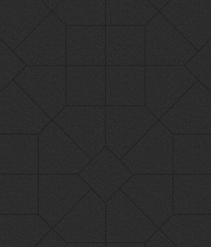 Тротуарная плитка ЛА-ЛИНИЯ, Стандарт, Черный, 200*280*100, высота 60