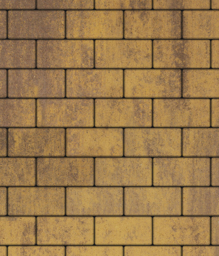 Тротуарная плитка ЛА-ЛИНИЯ, Листопад, Янтарь, 240х120, высота 60