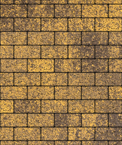 Тротуарная плитка ЛА-ЛИНИЯ, Листопад, Янтарь, 100*200, высота 60