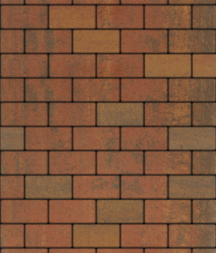 Тротуарная плитка ЛА-ЛИНИЯ, Листопад, Арабская ночь, 100*200, высота 60