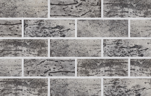 Кирпич гранит рустика пустотелый полуторныйпо цене 47.25 руб./шт