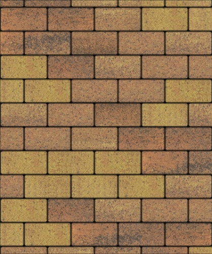 Тротуарная плитка ЛА-ЛИНИЯ, Листопад, Саванна, 100х200, высота 40