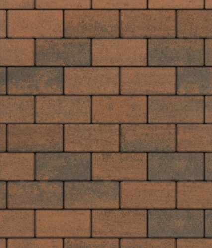 Тротуарная плитка ЛА-ЛИНИЯ, Листопад, Мустанг, 240*120, высота 60