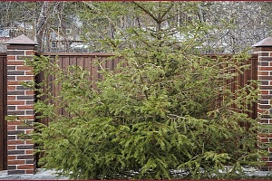007-Забор из кирпича КР-л-пу 1НФ Бавария кора дерева (1).jpg