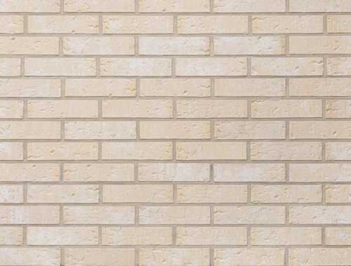  Пегас Ракушечник Пустотелый одинарный по цене 63 руб./шт