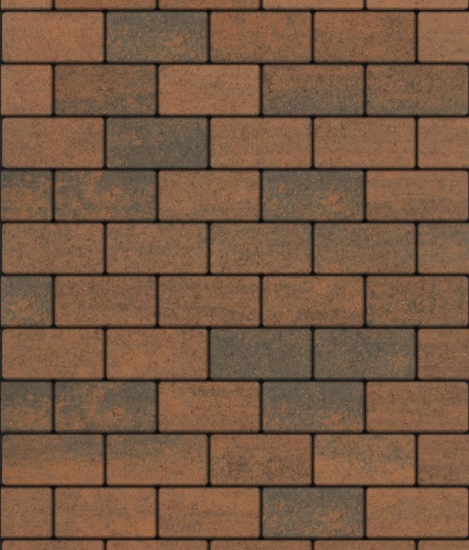 Тротуарная плитка ЛА-ЛИНИЯ, Листопад, Мустанг, 100*200, высота 40