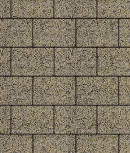 Тротуарная плитка ЛА-ЛИНИЯ, Гранит, Желтый с черным, 300*200, высота 80