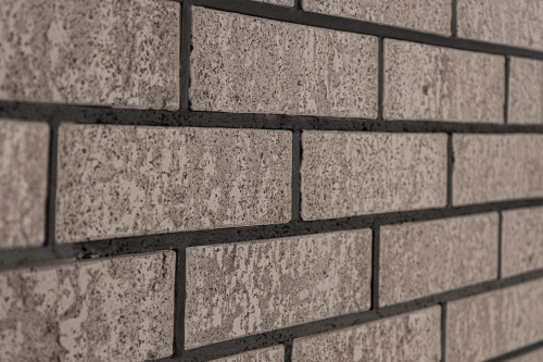  Нептун Ракушечник Пустотелый одинарный по цене 79 руб./шт