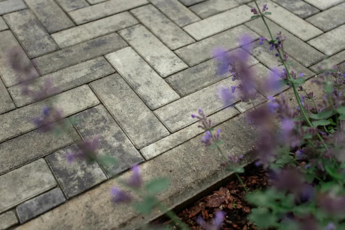 Тротуарная плитка Паркет, Искусственный камень, Шунгит, высота 60 мм (180*60)