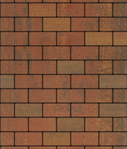 Тротуарная плитка ЛА-ЛИНИЯ, Листопад, Арабская ночь, 100*200, высота 40