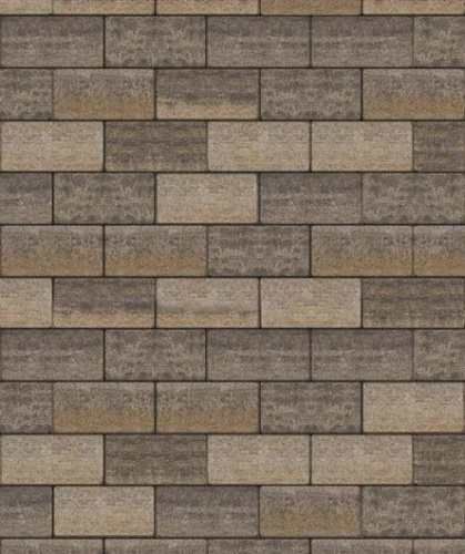 Тротуарная плитка Прямоугольник, Искусственный камень, Доломит, высота 80 мм (100*200)