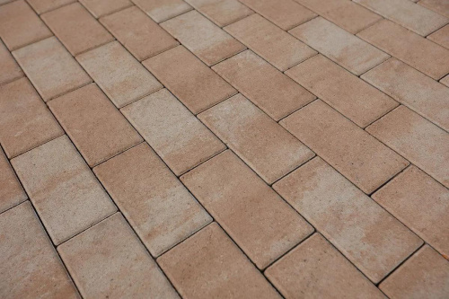Тротуарная плитка Прямоугольник, Искусственный камень, Степняк, высота 60 мм (100*200)