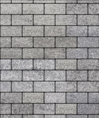 Тротуарная плитка Прямоугольник, Искусственный камень, Шунгит, высота 80 мм (100*200)