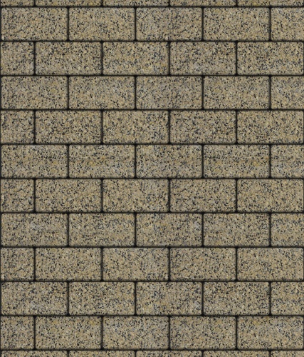 Тротуарная плитка ЛА-ЛИНИЯ, Гранит, Желтый с черным, 100*200, высота 40