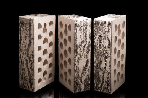  Берёза Рустик Пустотелый евро одинарный по цене 43.70 руб./шт