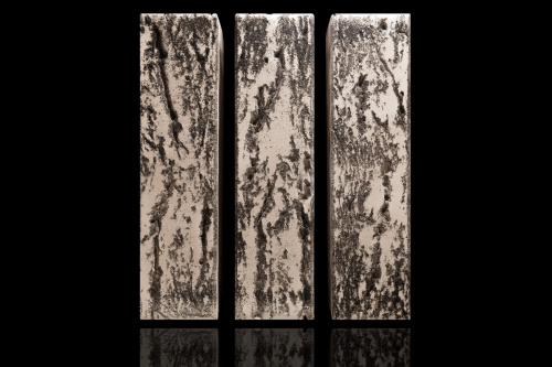  Берёза Рустик Пустотелый евро одинарный по цене 43.70 руб./шт