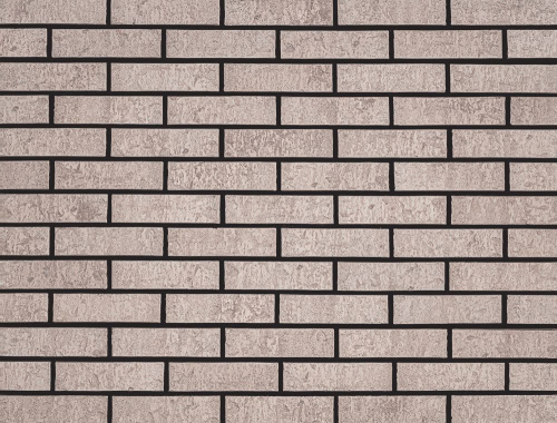  Протей Ракушечник Пустотелый одинарный по цене 79 руб./шт