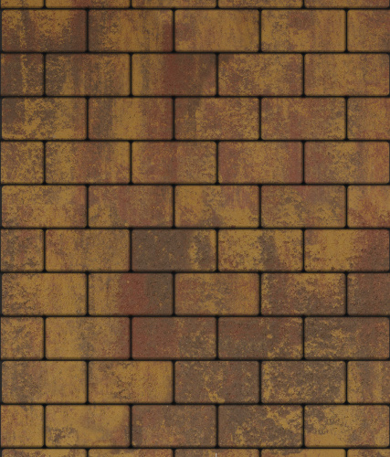 Тротуарная плитка ЛА-ЛИНИЯ, Листопад, Осень, 100*200, высота 80