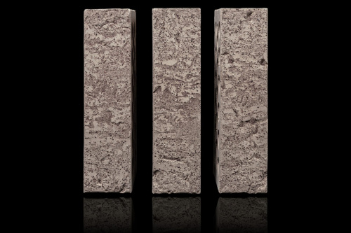  Нептун Ракушечник Пустотелый одинарный по цене 79 руб./шт