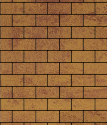 Тротуарная плитка ЛА-ЛИНИЯ, Листопад, Каир, 100*200, высота 40